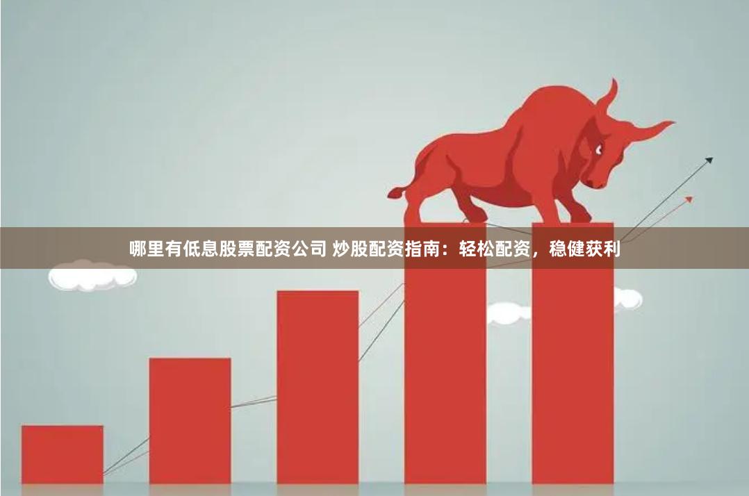 哪里有低息股票配资公司 炒股配资指南：轻松配资，稳健获利