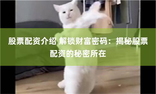 股票配资介绍 解锁财富密码：揭秘股票配资的秘密所在