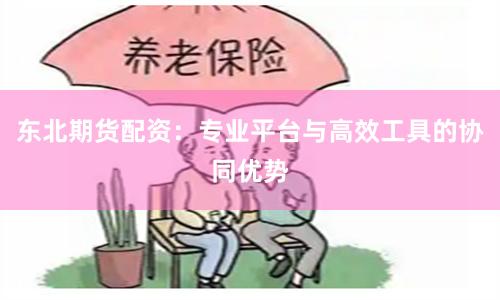 东北期货配资:专业平台与高效工具的协同优势