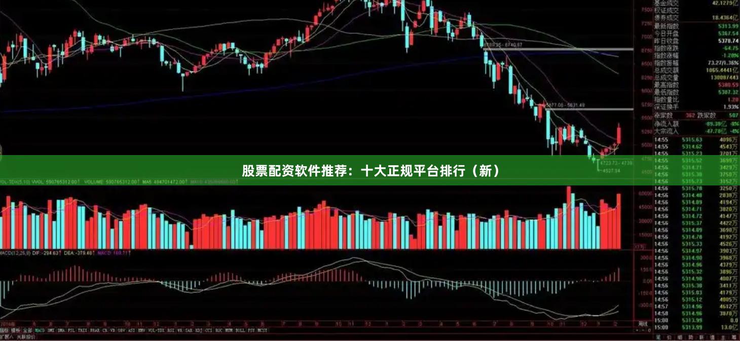 股票配资软件推荐：十大正规平台排行（新）