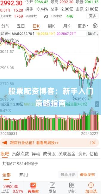 股票配资博客：新手入门策略指南